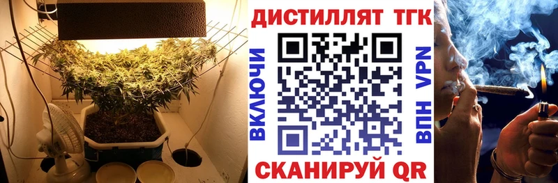 Купить где  Березники  Дистиллят ТГК THC oil