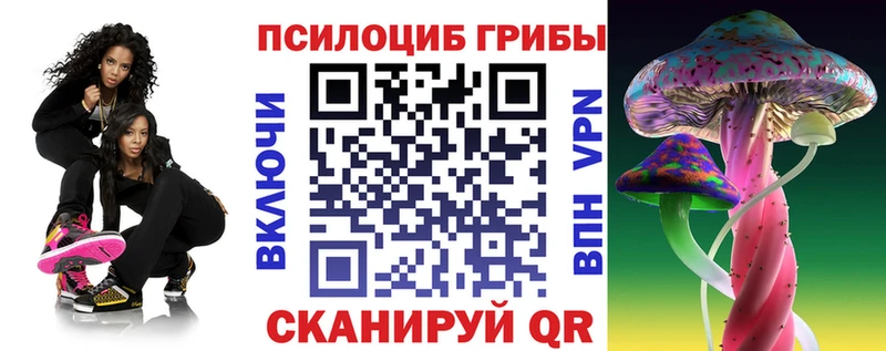 Купить закладки  Березники  Галлюциногенные грибы MAGIC MUSHROOMS