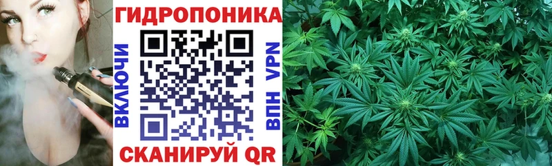 Купить закладки  Березники  Канабис THC 21% 